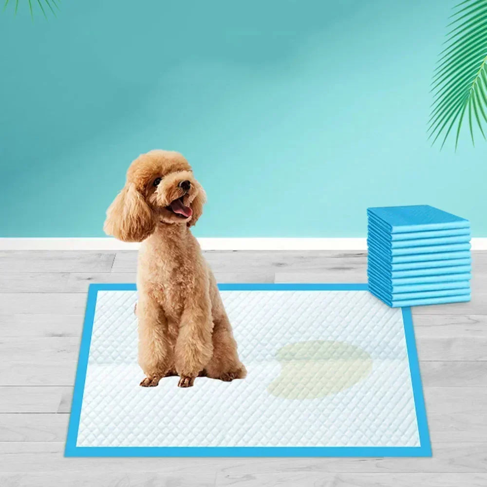 Ultra Absorbent Pet Diaper Pads