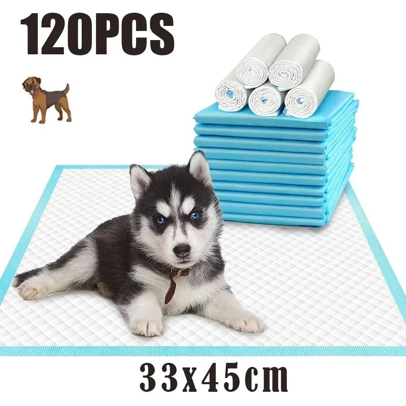 Ultra Absorbent Pet Diaper Pads