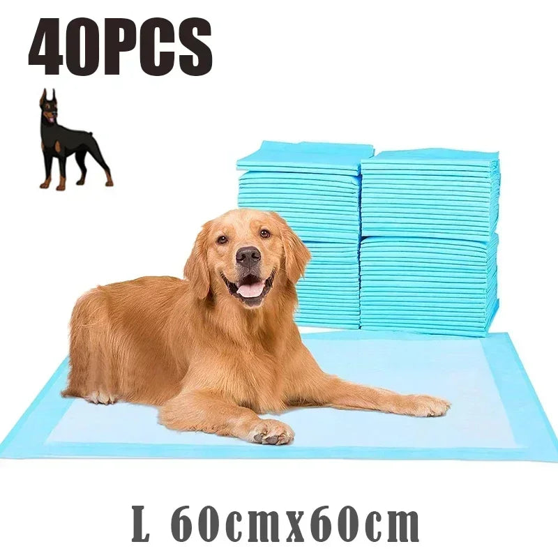 The Pet Haven